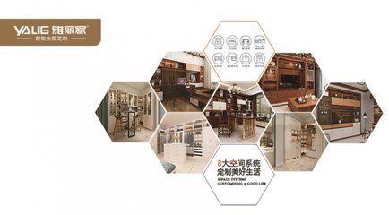 雅丽家橱柜品牌定位与设计服务解析